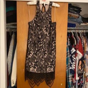 Express Lace Dress